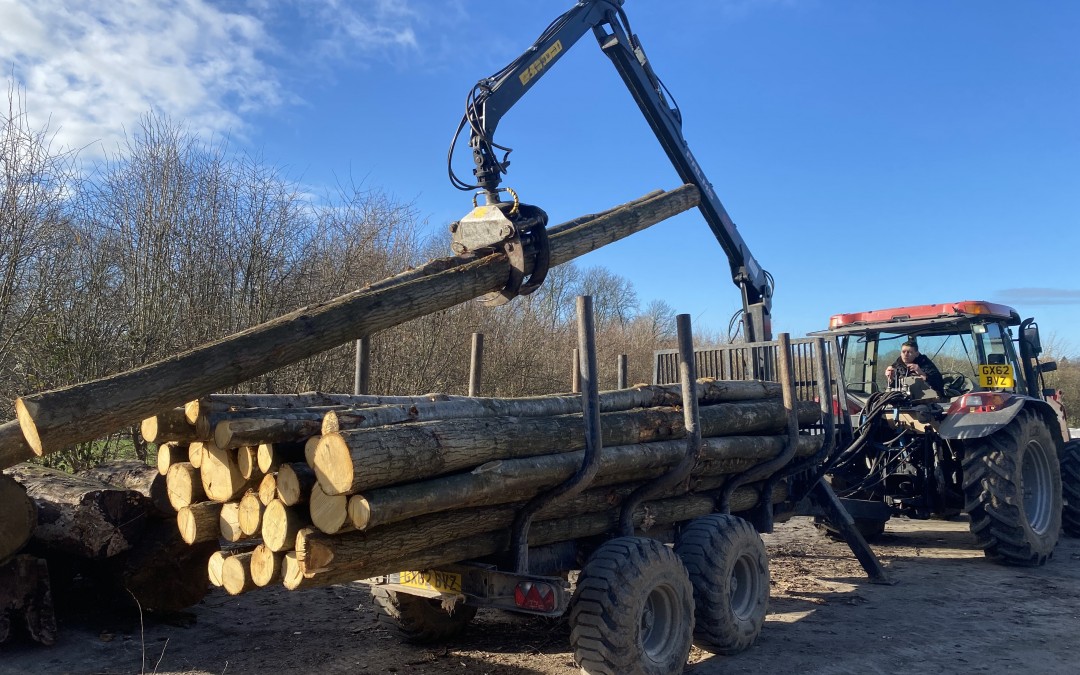 We’re hiring – Forestry & Landscape Operative/Apprentice