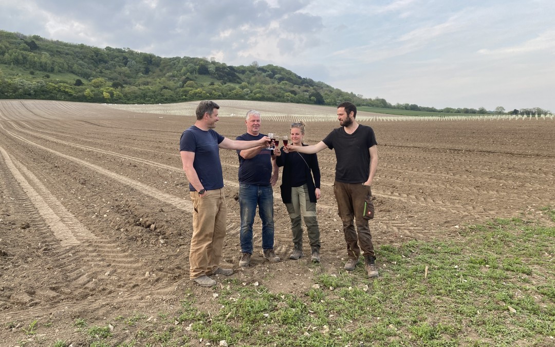 Vineyard planting finally underway!