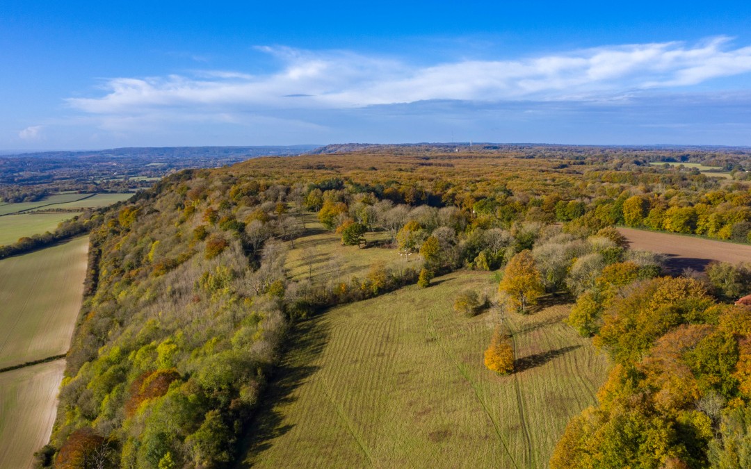 🌿 Birling Estate Joins the North Kent Woods and Downs National Nature Reserve